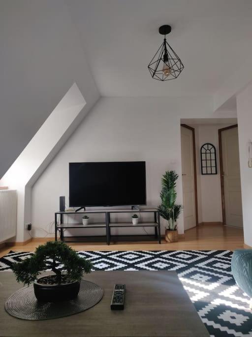 Tres Bel Appart Charmant 85M2 Parking Gratuit Мольсайм Екстер'єр фото